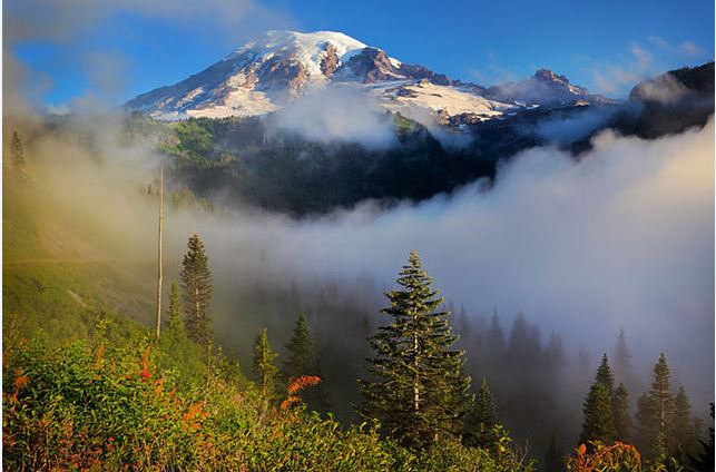 Cell service at Rainier: Do you want to hear me now?