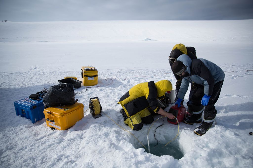 Robot gives rare glimpse under Antarctic sea ice
