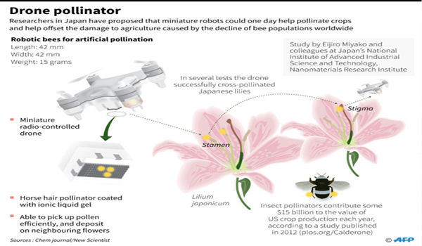 Sticky, insect-sized drones could act as pollinators: study