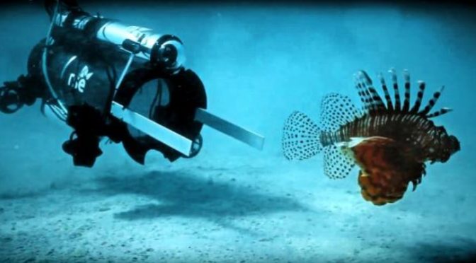 Robots, chefs hope to bring invasive lion fish to restaurants near you