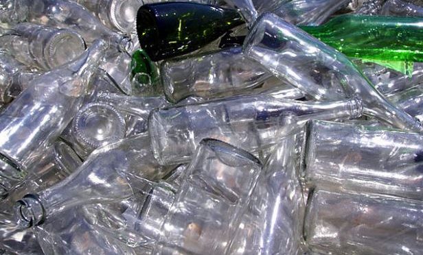 Discarded bottles saving Australian fish from extinction