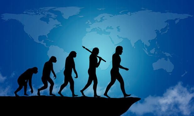 Did humans evolve by chance?